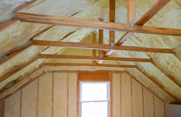 Best Garage Insulation Installation  in Scissors, TX