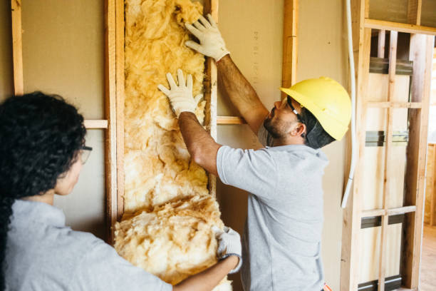 Best Insulation Contractor Near Me  in Scissors, TX