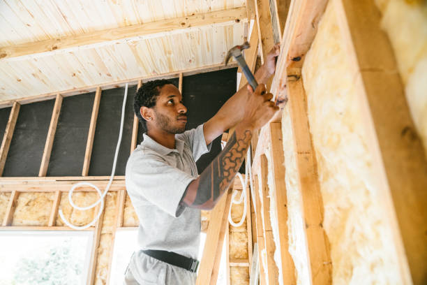 Best Wall Insulation Contractor  in Scissors, TX