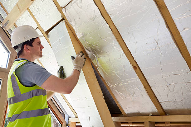 Best Crawl Space Insulation  in Scissors, TX